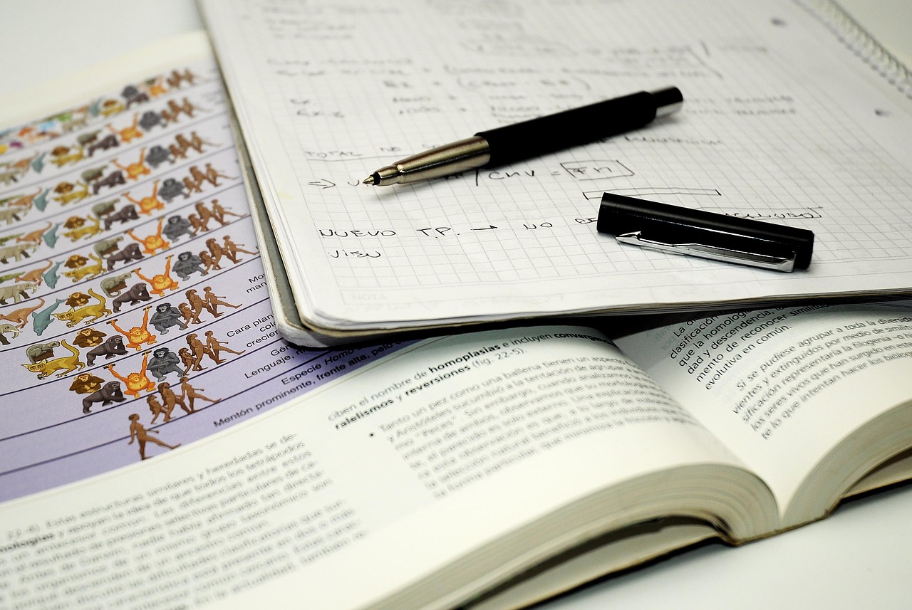 Manuels ouverts et notes manuscrites pour reviser