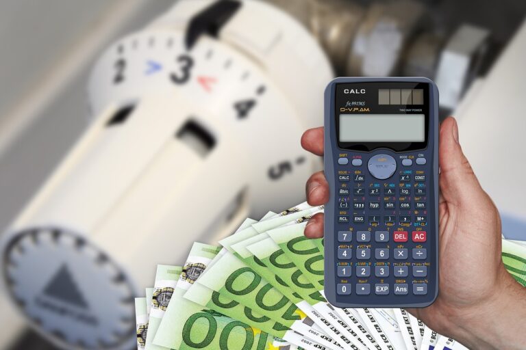 Comment faire un budget previsionnel simple pour son activite ?
